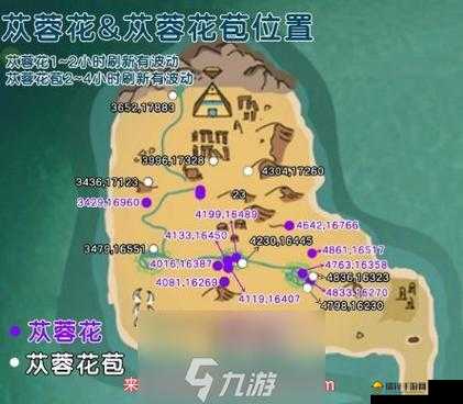 2025年蛇年新春探索之旅，在创造与魔法中发掘各种花的奇妙用途